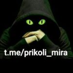 Танки мира
